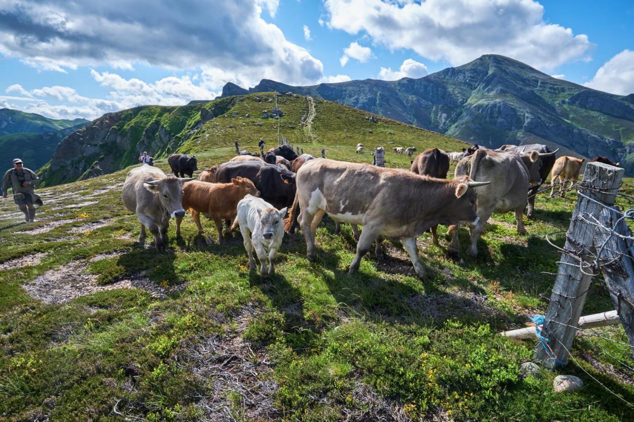 La Posada De Cucayo Dobres Εξωτερικό φωτογραφία