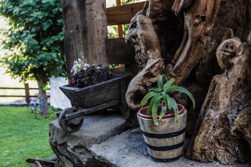 La Posada De Cucayo Dobres Εξωτερικό φωτογραφία